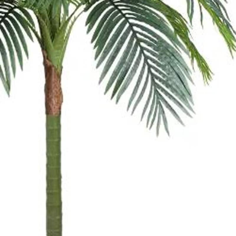 HomeRoots 71" Green Artificial Palm Tree in a Black Pot - 6.69 in. x 70.87 in. x 6.69 in.