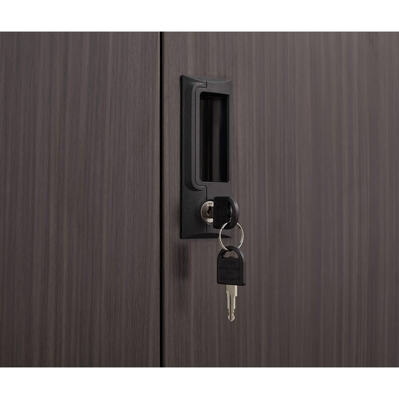 Metal Storage Cabinet with Locking Doors and Adjustable Shelf,