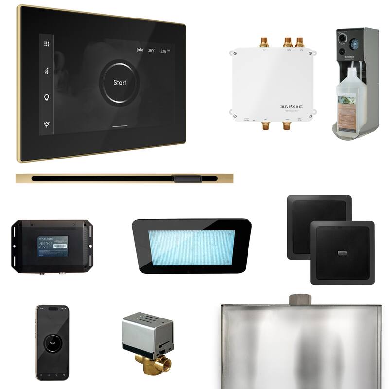 Mr Steam BLS1-L Bliss Linear Package Steam Shower Control Package with - Black / Satin Brass