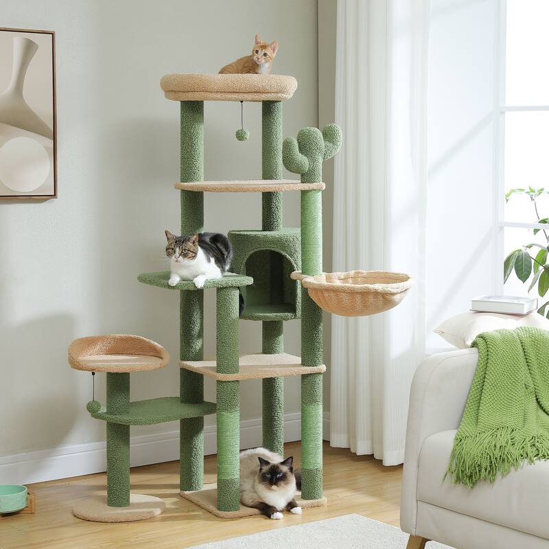 Multi-Level Cat Tree