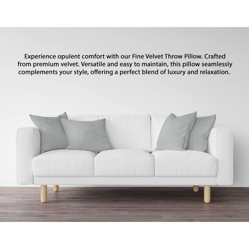 A1HC Pack of 2 Velvet Throw Pillow Covers, Hidden Zipper Closure