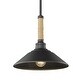 preview thumbnail 2 of 9, Golden Lighting Journey 1-light Pendant in Natural Black