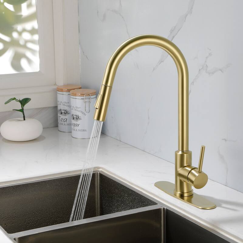 2-Function 1-Handle Pulldown Kitchen Faucet