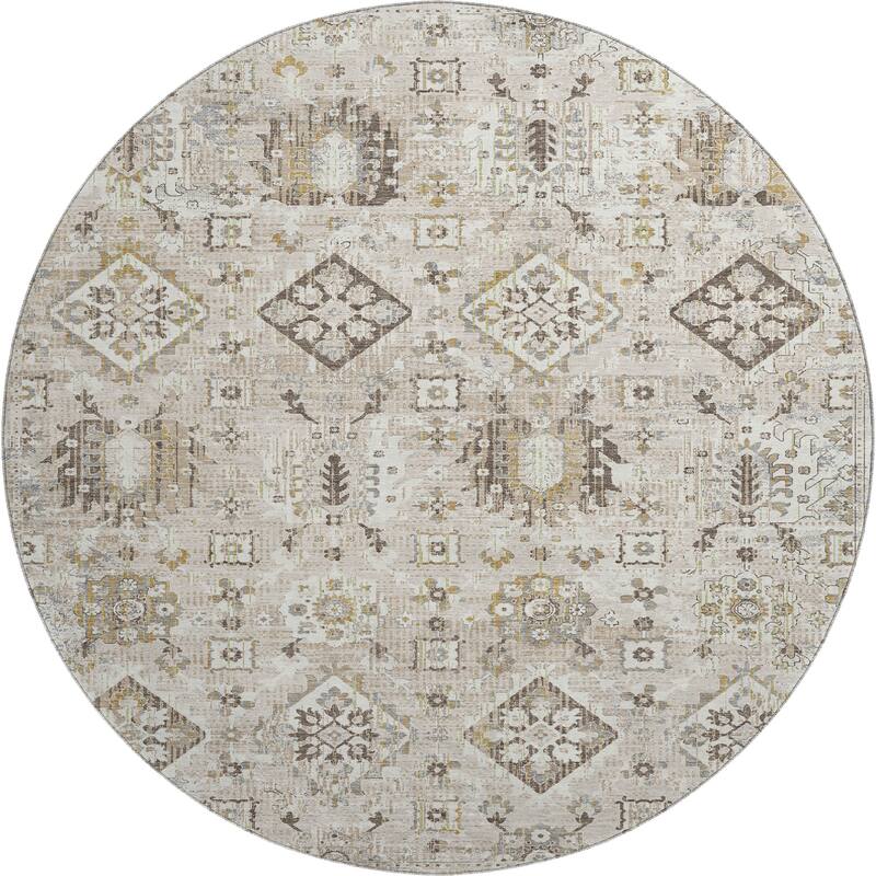 Premium Washable Super Soft Traditional Nora Mayfield Rug