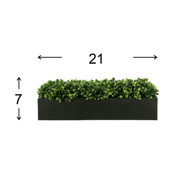 UV Rated Outdoor Boxwoods Arranged in a Rectangular Planter