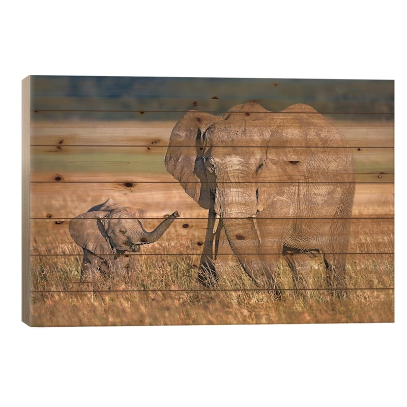 Mom Elephant With Calf Print On Wood by Xavier Ortega - Multi-Color - 18x26x1.5