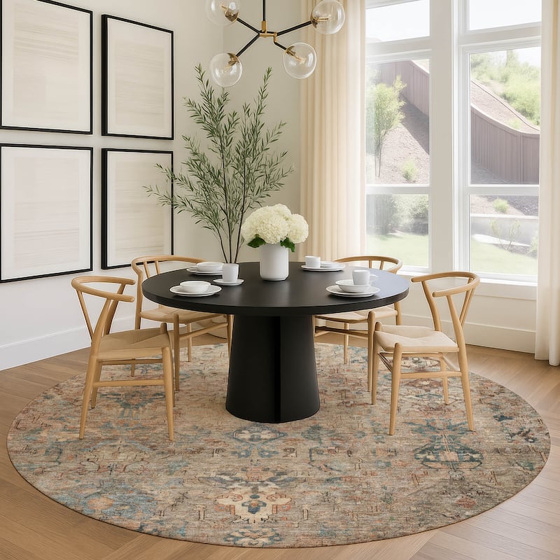 Machine Washable Indoor/ Outdoor Traditional Serenity Chantille Rug