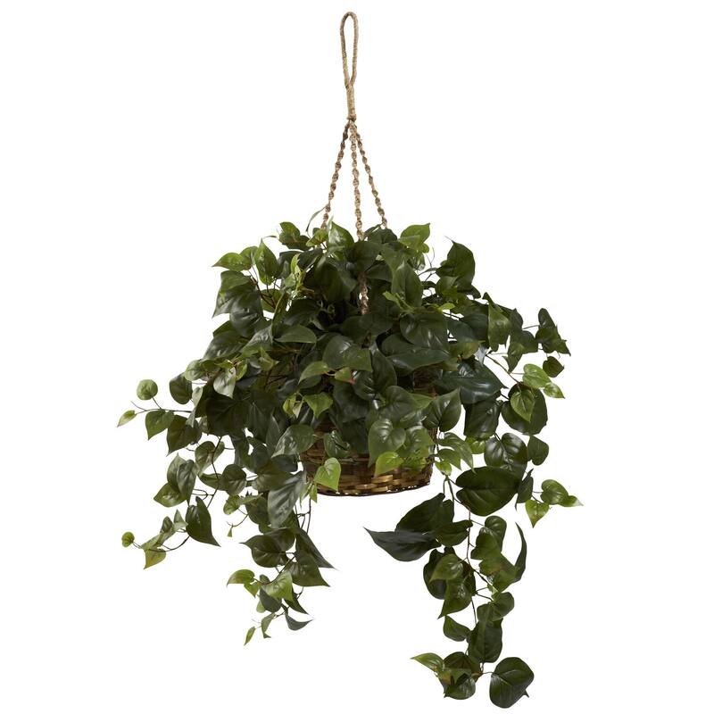 Hanging Plant Basket Indoor, 29" Island Oasis Philo, Decorative Green Foliage, Low Maintenance Home Decor
