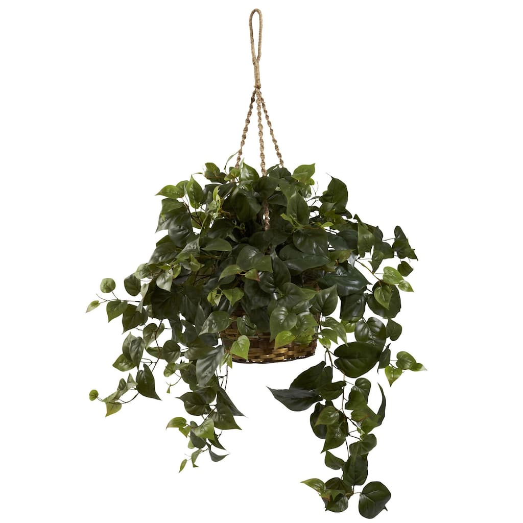 Hanging Plant Basket Indoor, 29" Island Oasis Philo, Decorative Green Foliage, Low Maintenance Home Decor