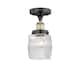 Option Clear Halophane / Black Antique Brass