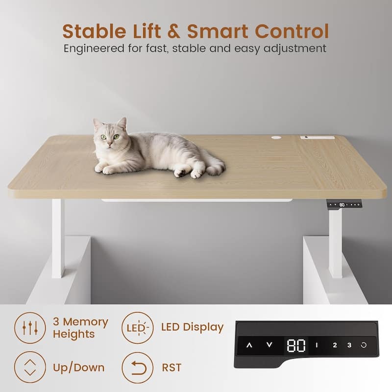 63" Executive Standing Desk Storage Executive Height Adjustable Desk
