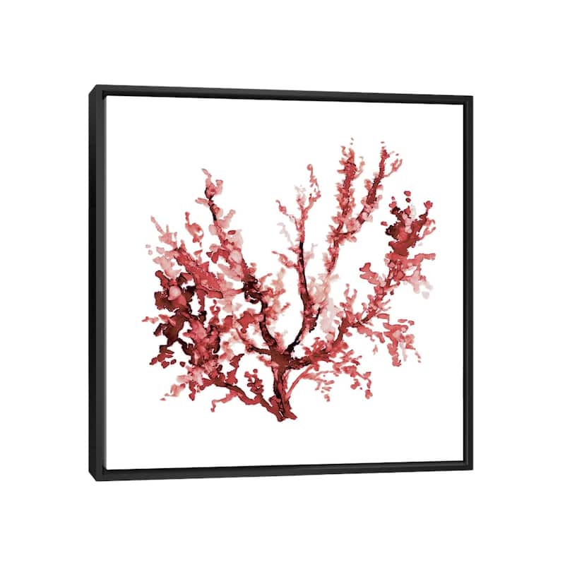 iCanvas "Sea Coral III" by Carol Robinson Framed Canvas Print - 37x37 - Black