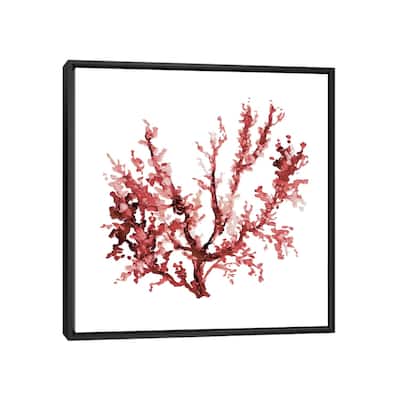 iCanvas "Sea Coral III" by Carol Robinson Framed Canvas Print