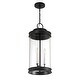 preview thumbnail 4 of 3, Englewood 3-Light Outdoor Hanging Lantern in Matte Black