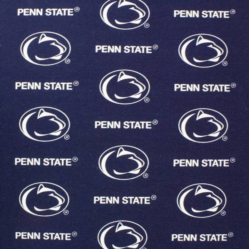 Penn State Nittany Lions 2pc Chair Cushion