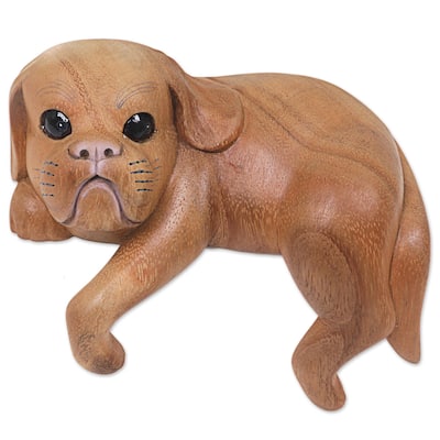 Handmade Curious Shih Tzu Wood sculpture (Indonesia) - 21 x 15 x 15