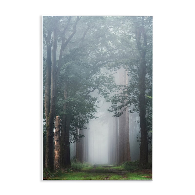 Stupell Calm Forest Clearing Wall Plaque Art Design By Martin Podt - 10 x 15