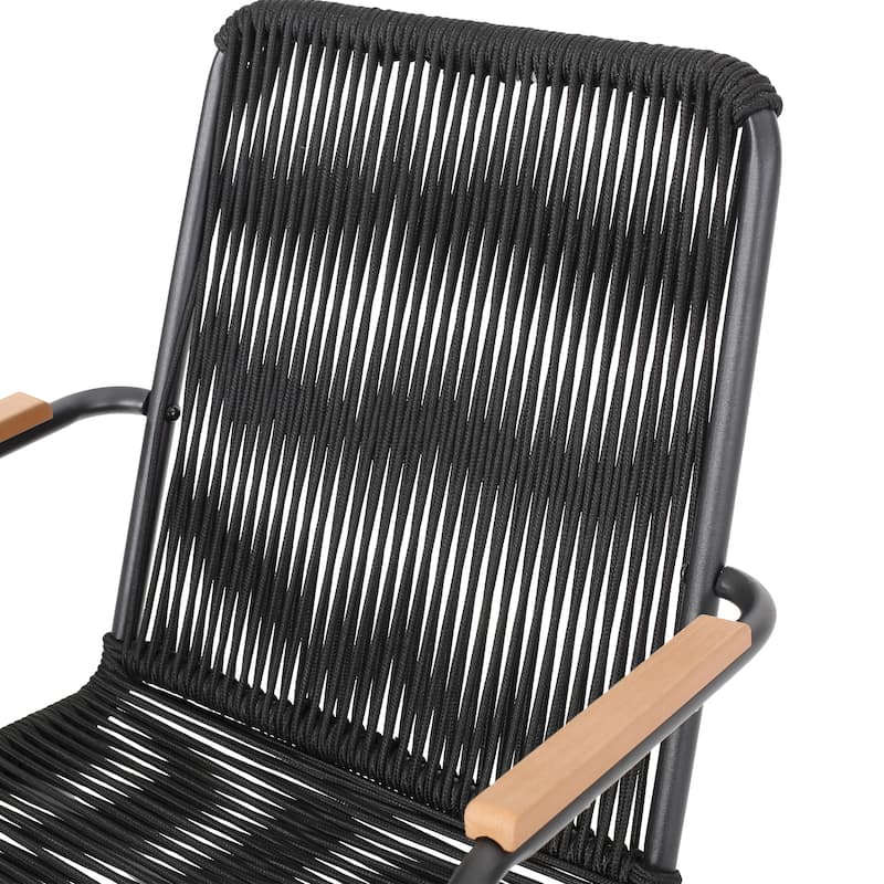 Leisure Chair Club Chair Dining Chair Set of 2, Black Reading Chair Accent Chair Reception Chair Side Chair