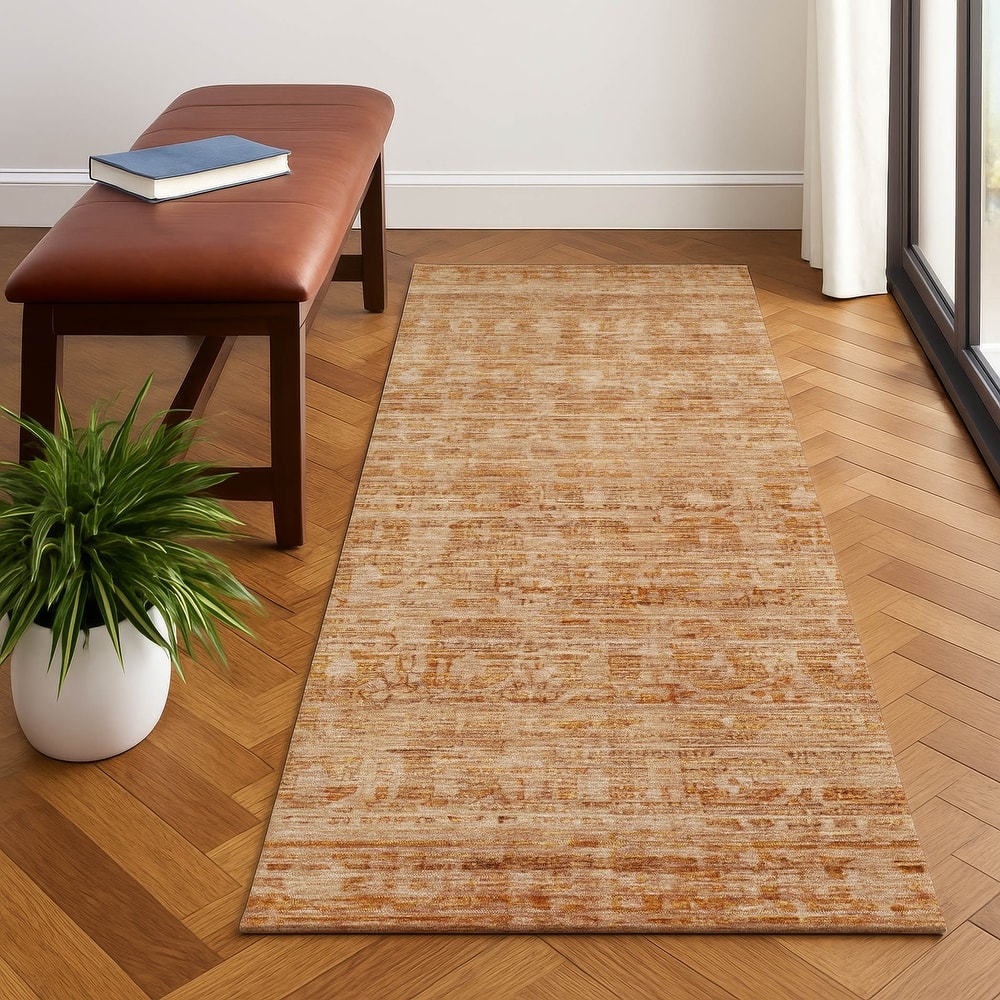 Premium Washable Super Soft Vintage Traditional Mayfield Rug