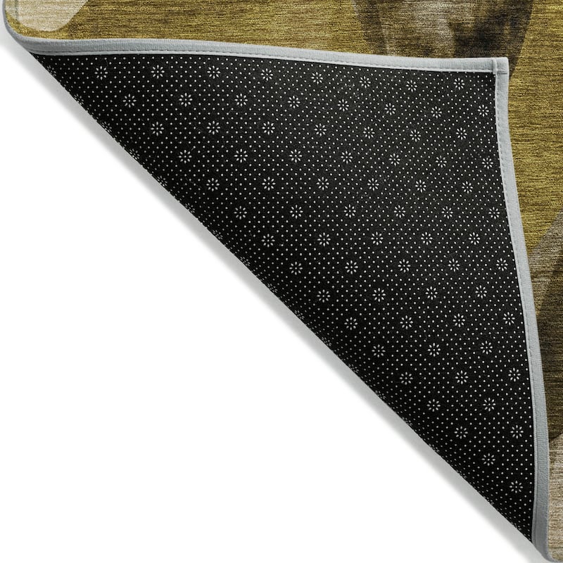 Machine Washable Indoor/ Outdoor Modern Chantille Rug