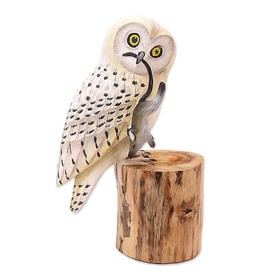 Novica Handmade Snow Owl Wood Statuette