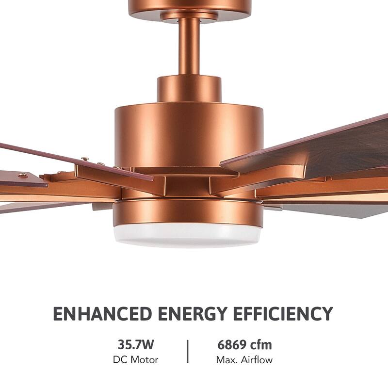 CO-Z 60'' 8-Blade Large Windmill Ceiling Fan with LED Lights and Remote for Living Room