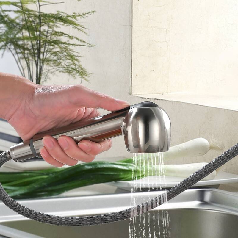 Topcraft Kitchen Faucets with Pull Down & Pull Out Sprayer