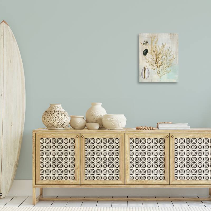 Stupell Coral Branch & Cowrie Shells Canvas Wall Art Design By Susan Arnot