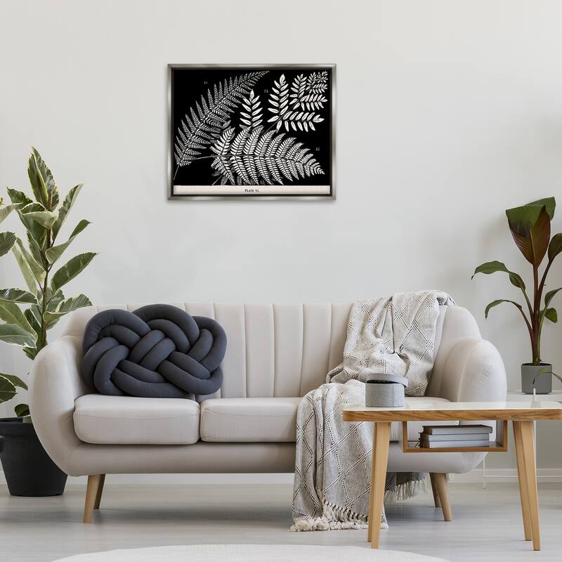 Stupell Fern Varieties on Black Framed Floater Canvas Wall Art Design By Phillipa Katz