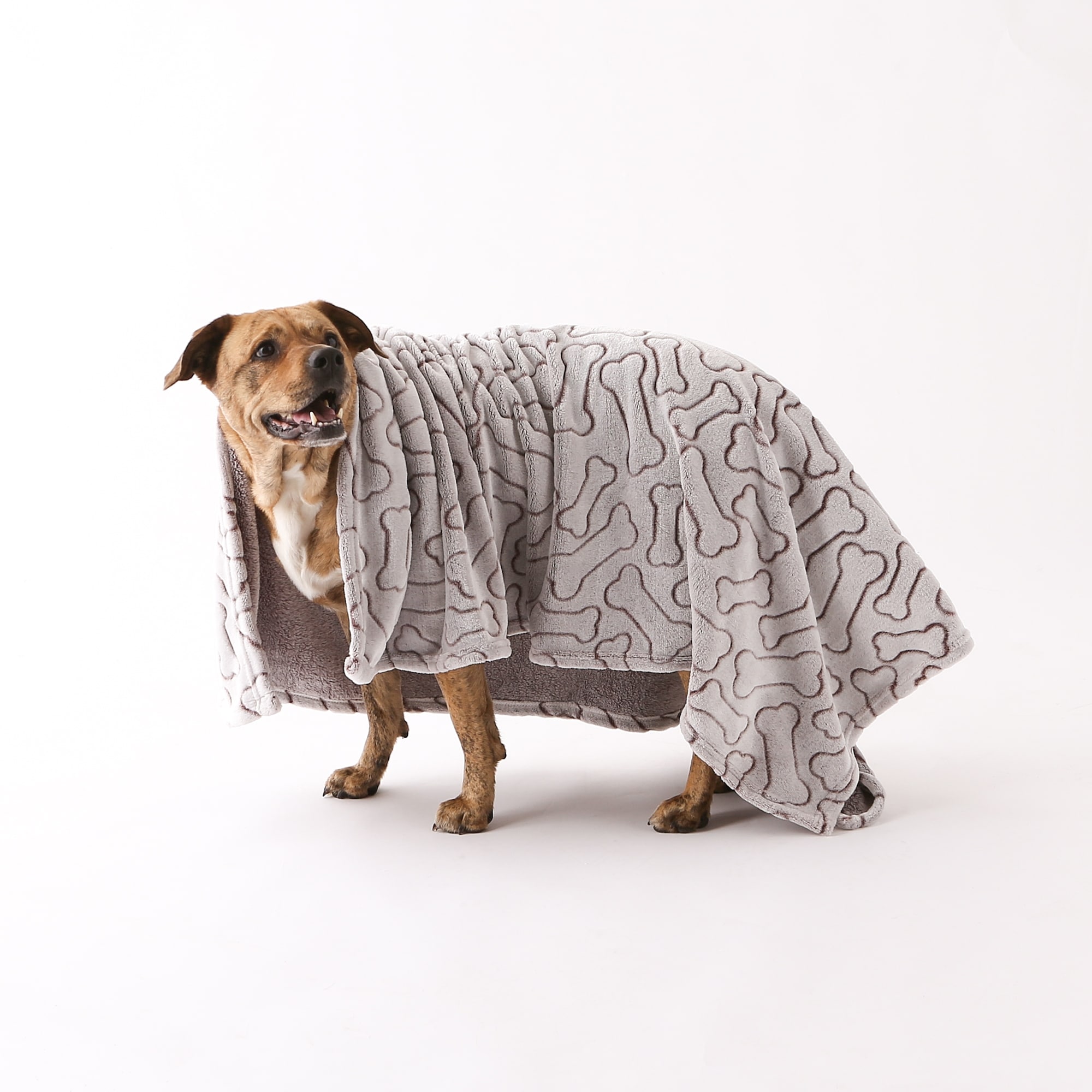 Bone dry dog blanket cheap