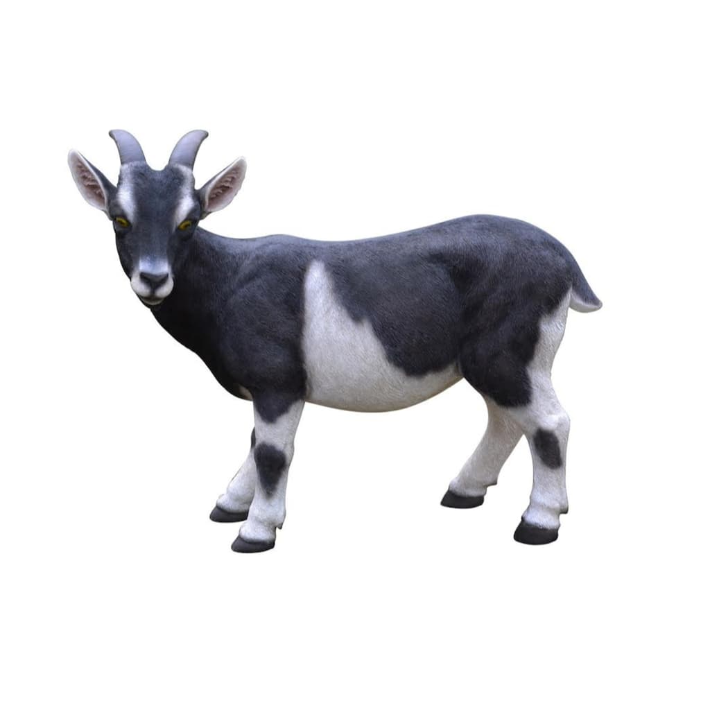 23" Goat with Head Turned Outdoor Garden Statue
