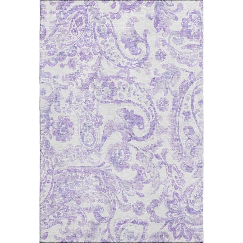 Premium Washable Super Soft Modern Paisley Mayfield Rug