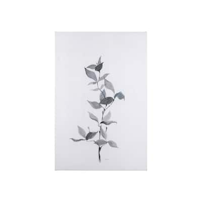 Leaf Shadow II (24 x 36 ) Canvas Art Print