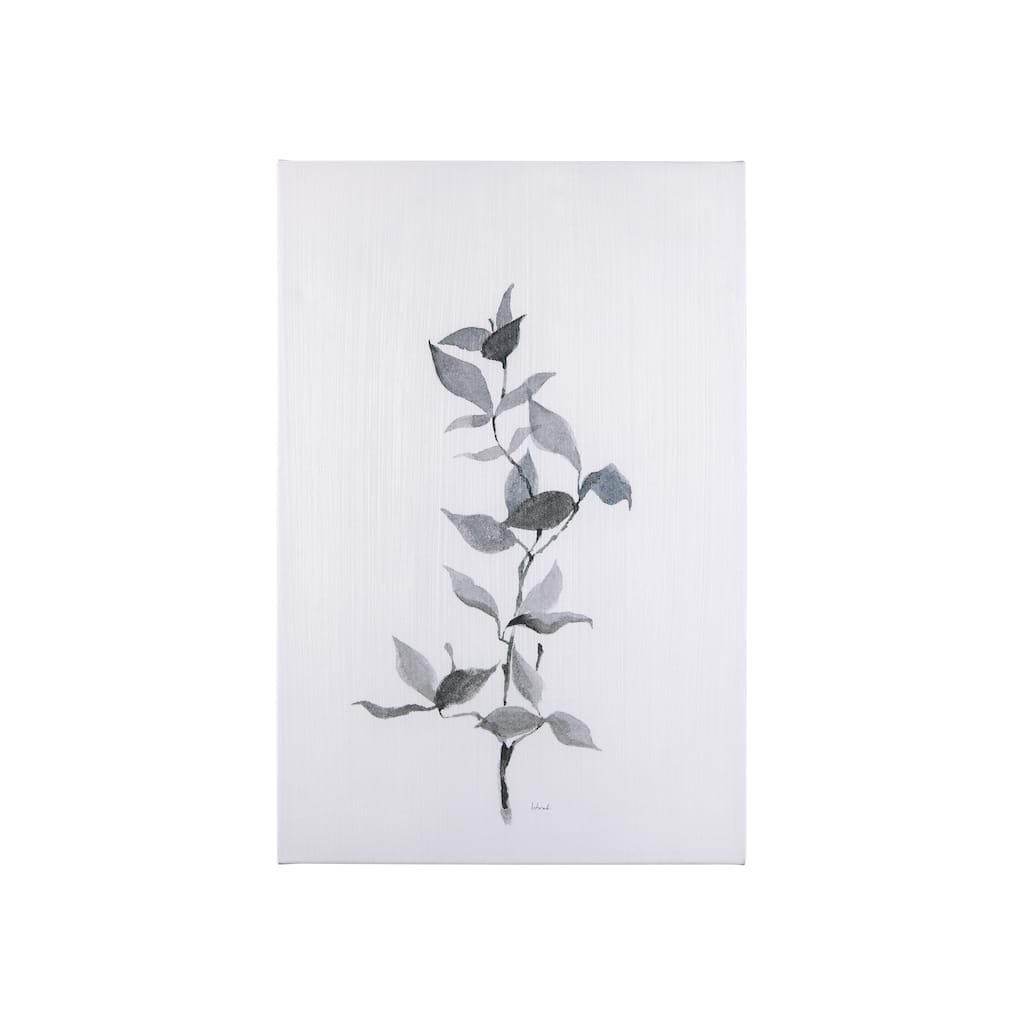 Leaf Shadow II (24 x 36 ) Canvas Art Print
