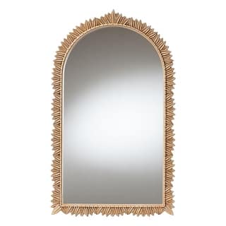Caitlin Antique Gold Finished Wood Accent Wall Mirror with Carved Leaf Border