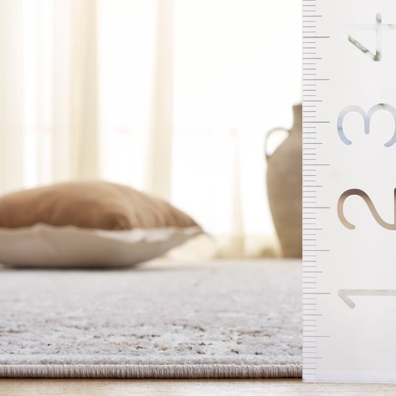 SAFAVIEH Leonette Saaskia Vintage Distressed Rug