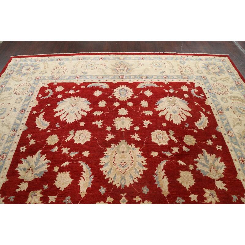 Vegetable Dye Floral Ziegler Oriental Wool Area Rug Handmade Carpet - 10'1" x 13'8"