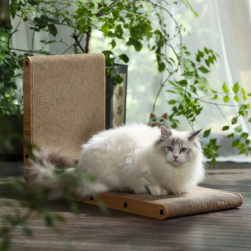 Cat scratch deals pad for wall