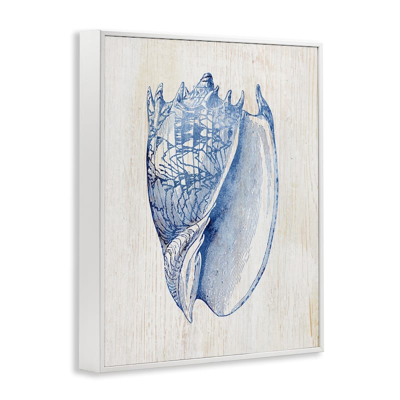 Stupell Nautical Soft Blue Conch Framed Giclee Art Design By Susan Arnot