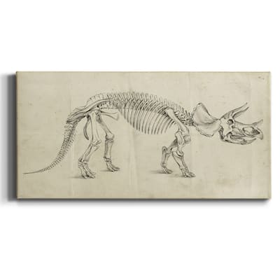 Dinosaur Study II- Premium Gallery Wrapped Canvas - Ready to Hang
