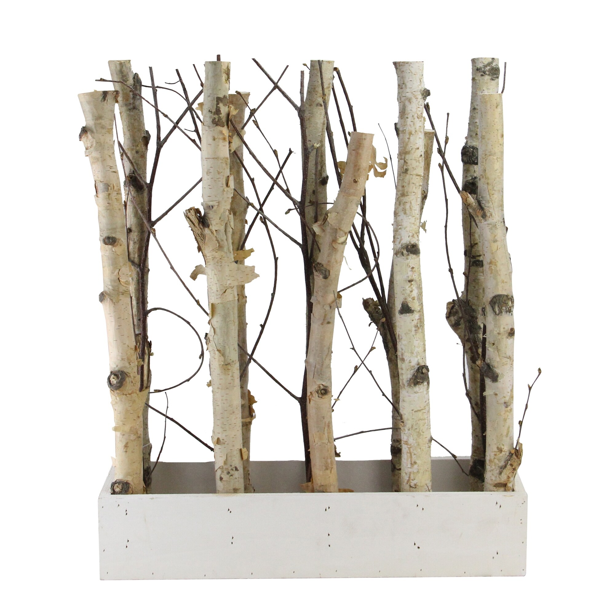 Shop 18 75 Brown And White Mixed Branch Bouquet In A Box Tabletop