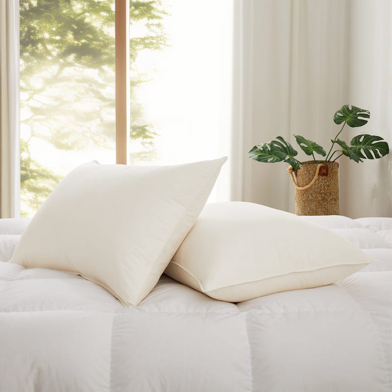 Set of 2 Down Feather Pillow-in-a-pillow Bed Pillows with 100% Organic Cotton Cover - Off-White