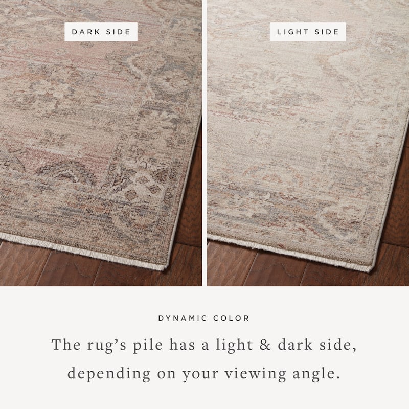Alexander Home Lynda Vintage Shabby Chic Area Rug