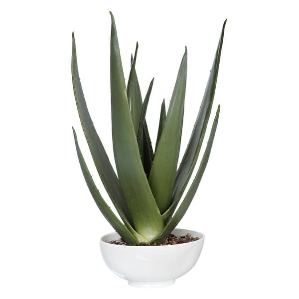 slide 2 of 3, Uttermost Evarado Aloe Planter