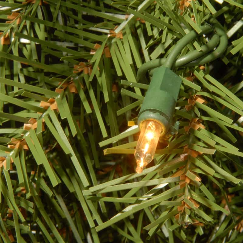 National Tree Company 4 ft. Norwood Fir Wreath with 200 Clear Lights - Green