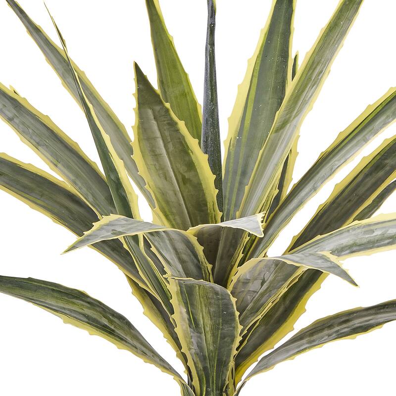 38" Potted Agave Plant