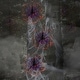preview thumbnail 8 of 6, Haunted Hill Farm Set of 6 Battery-Operated Radiant Starburst LED Lights w/ 8 Functions and Timer