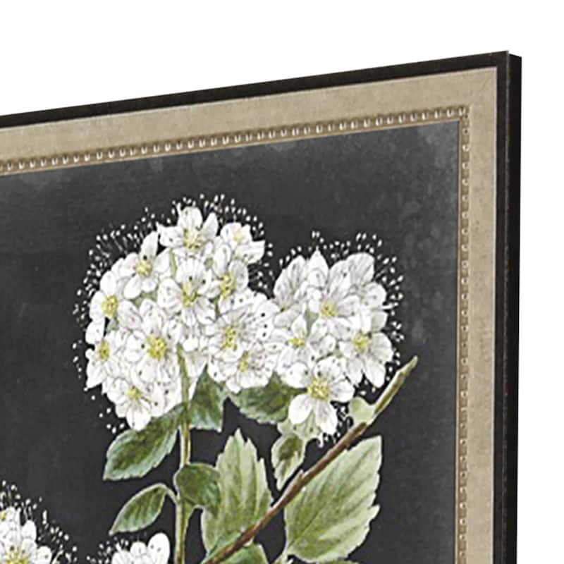 Dramatic White Flower S/4 Framed Art Giclee Under Glass