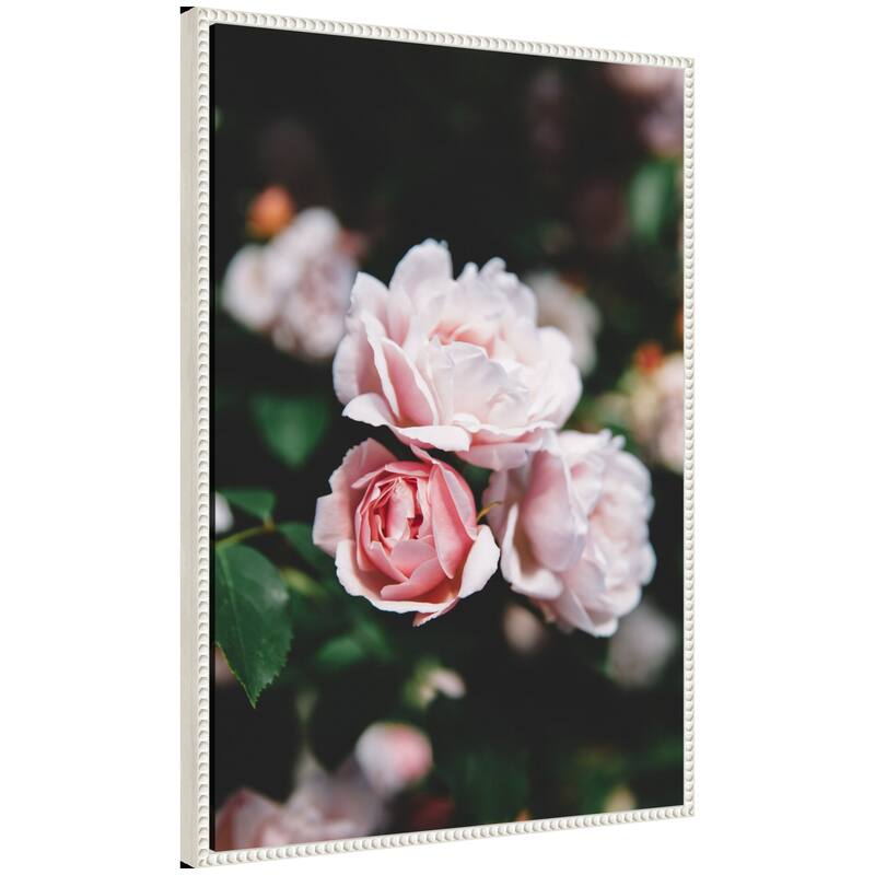 Kate and Laurel Sylvie Delicate Light Pink Rose Floral Framed Canvas by Patricia Hasz of Patricia Rae Photography - 23x33 - Ivory