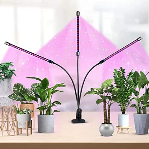 deco plante Art Deco™ Opulence™